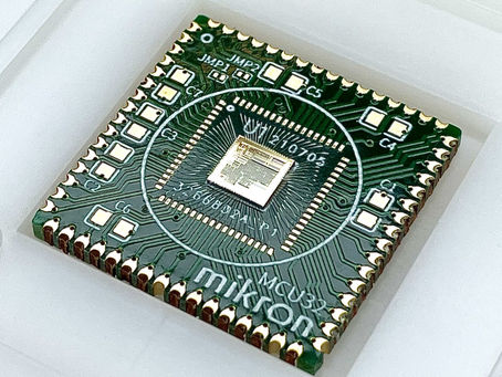 Микроконтроллеры RISC-V разработают в Воронеже