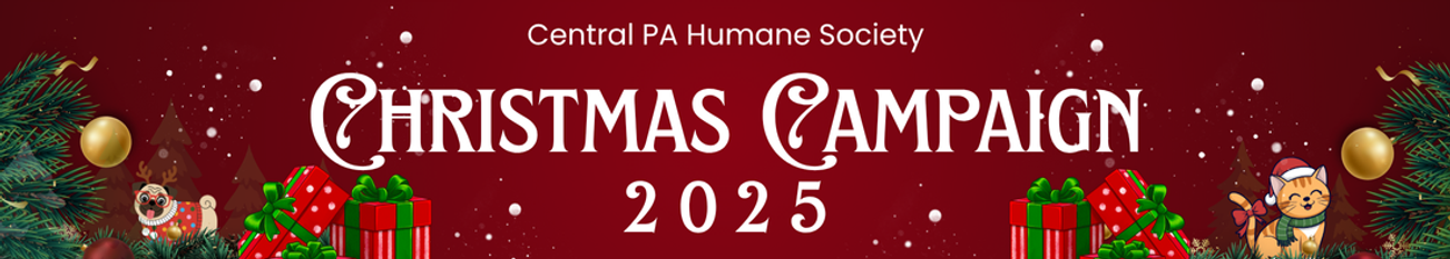 Christmas web header.png