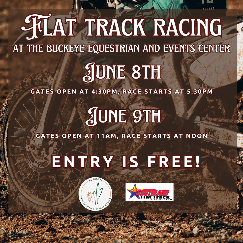 Flat Track Racing