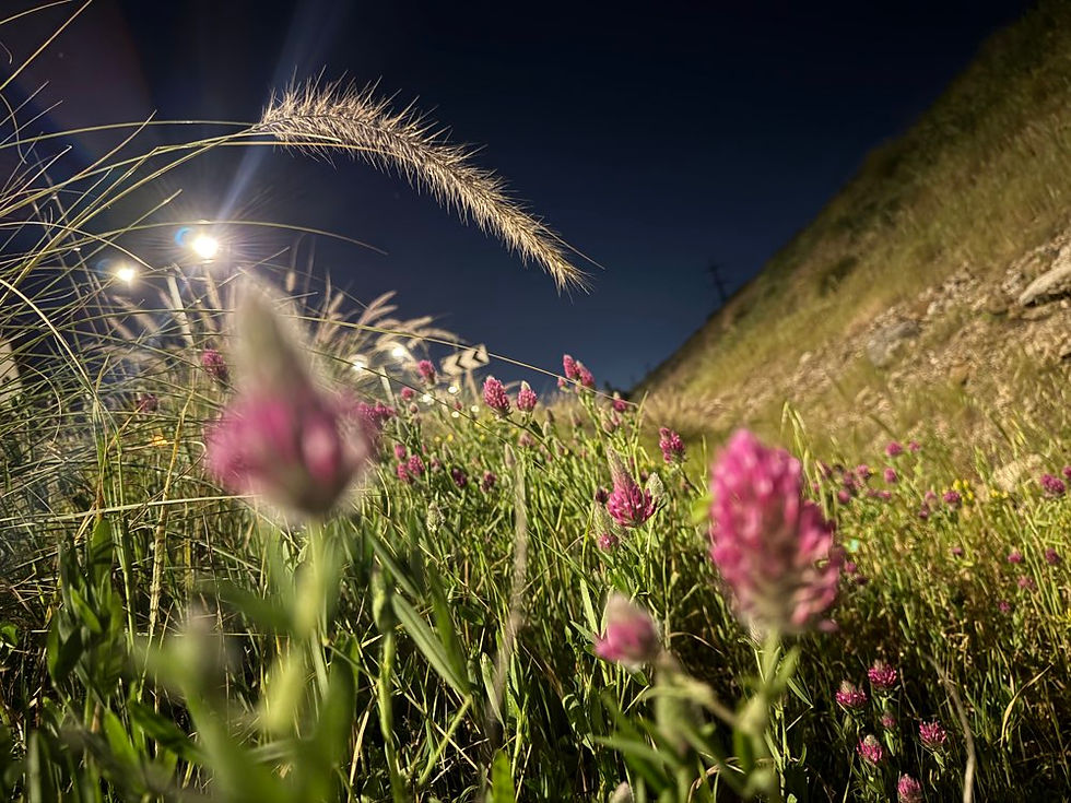 בסיס להבנת עבודת השם