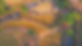 484065306_645617194721534_3422396256420200676_n_edited_edited.jpg