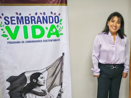 Sembrando Vida busca recuperar 250 mil hectáreas con sistemas agroforestales en Tabasco, beneficiando a más de 110 mil familias campesinas