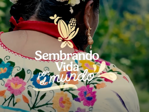 Sembrando Vida por el Mundo: Limón Persa