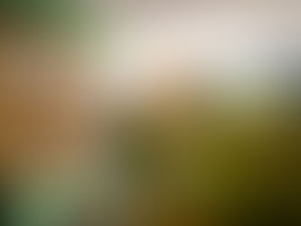 Certifican 409 productores agroecológicos en la Ciudad de México