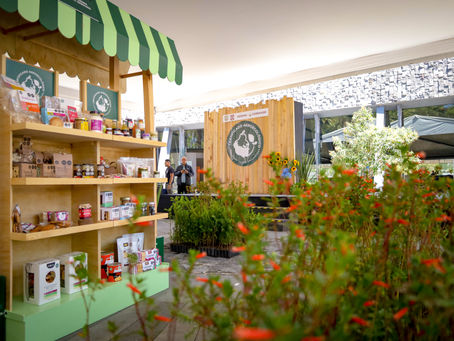 Certifican 409 productores agroecológicos en la Ciudad de México