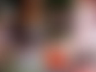 Activación Sembrando Vida