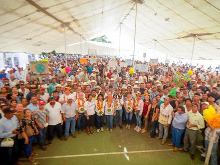 Jornada Nacional de Reforestación del programa Sembrando Vida inicia su edición 2025 desde Veracruz