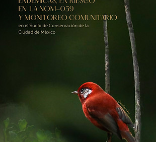 GUÍA ESPECIES_IMPORTANCIA_EDITORIAL.jpeg