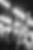 DSCF0819.jpg