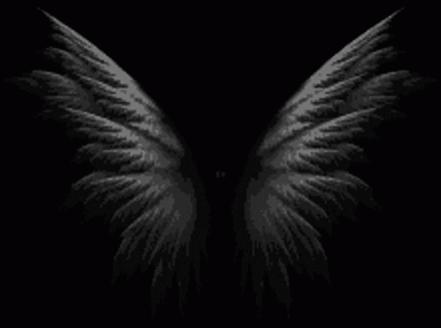 angel-wings.gif