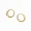 Thumbnail: Oval Hoops | Gold