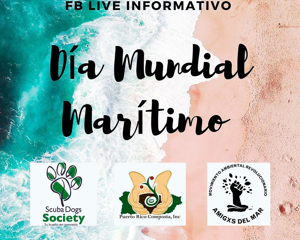 Facebook Live: Día Mundial Marítimo