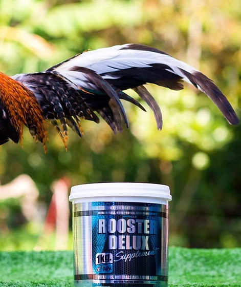ROOSTER DELUXE 1.jpg