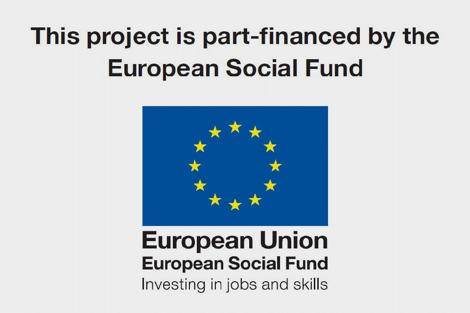esf-poster-960.gif