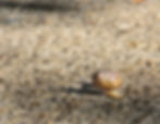 mc_portfolio (2 of 10)