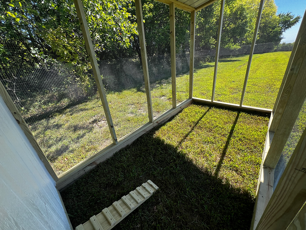 Thumbnail: Chicken Coop with Covered Attached Run