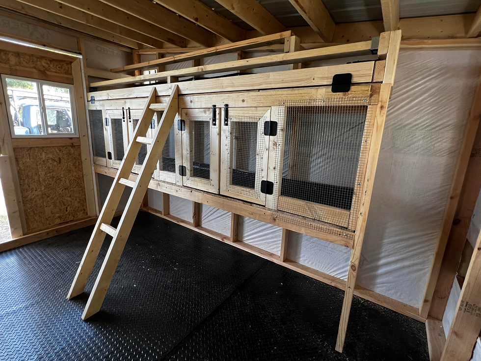 Thumbnail: 10'x12' Chicken Coop - Optional Run