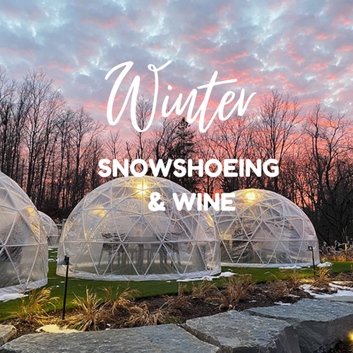 Igloo Vineyards Around Me Cutest Igloo Dining Experiences In