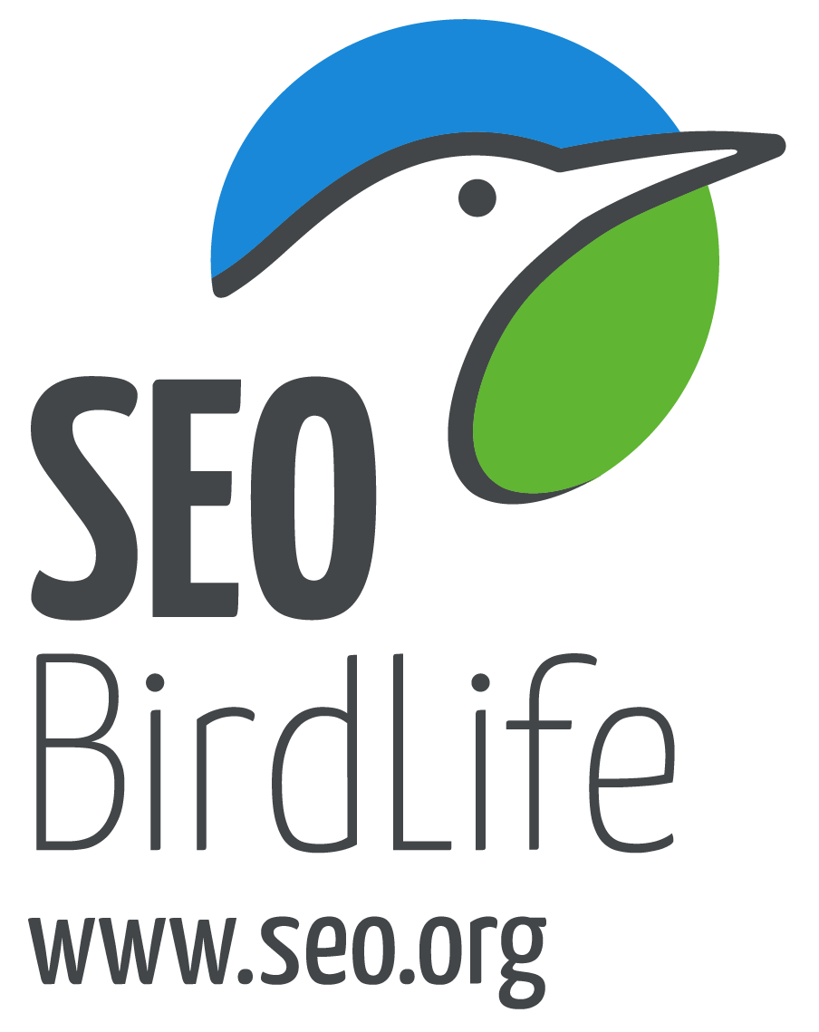 MARCA SEO URL VERTICAL 300-01 - Copy.png