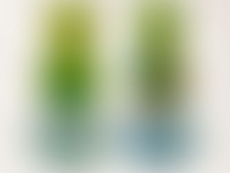 Miniplast Celebrated for Recycling, Manufacturing & Circular Leadership at SSI Awards 2025