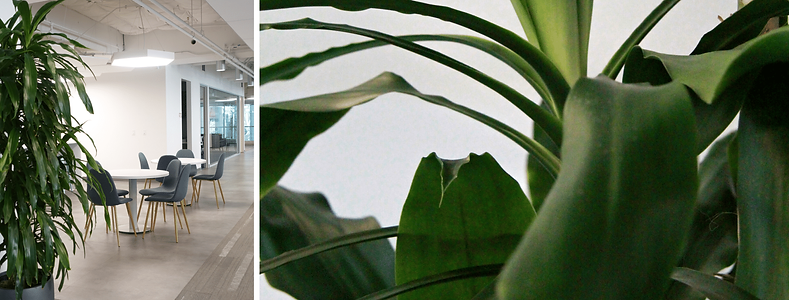 Ivory and Ash Grey Photo DIY Influencer Minimalist Facebook Cover-1.png