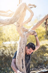 bois Arango arbre.jpeg