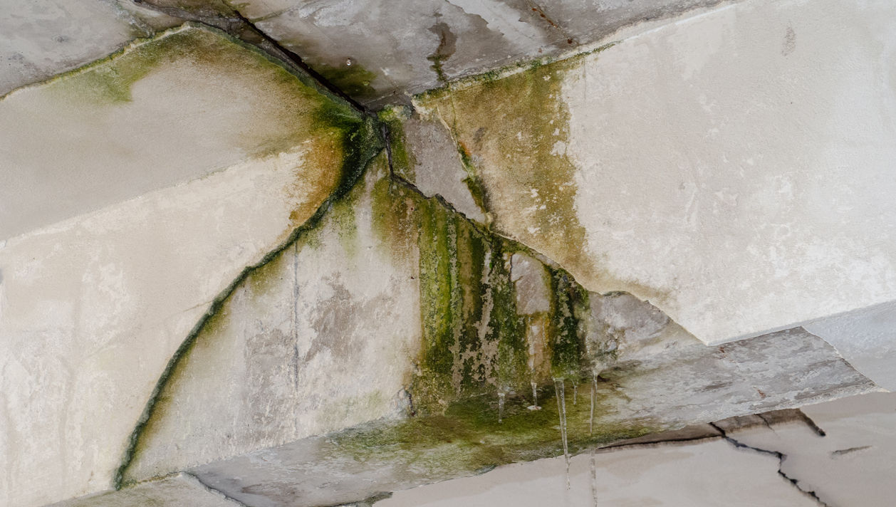 Sanierungsarbeiten Bad Windsheim