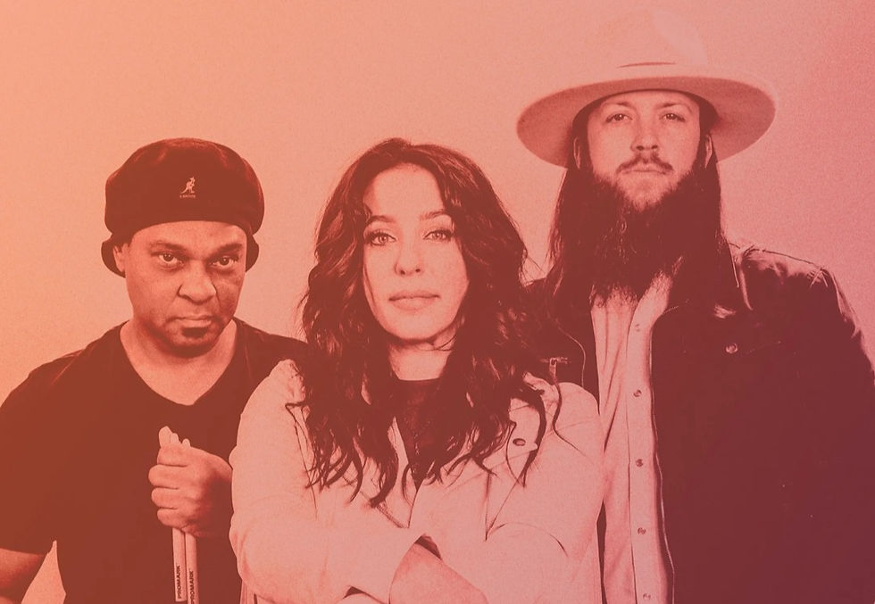 Danielle Nicole Band