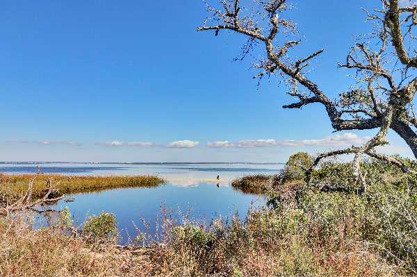 Thumbnail: T.H. Stone Memorial St. Joseph Peninsula State Park