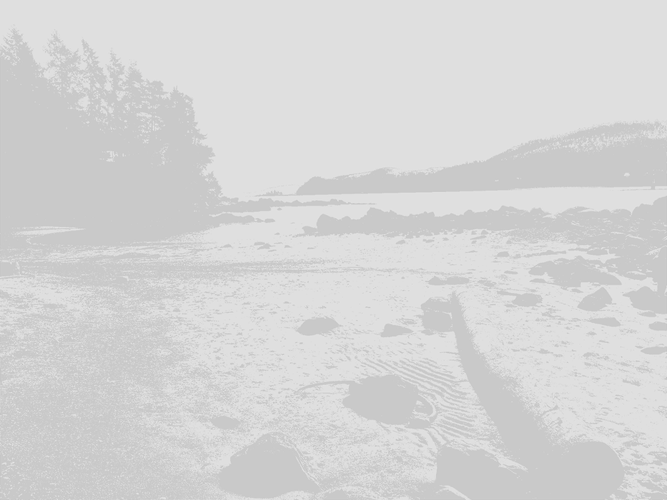 IH_HeaderImage_1.png
