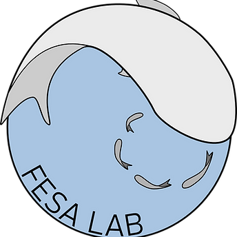 fesa_lab_logo.png