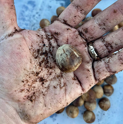 Image 4-12-25 at 10.09 AM.jpeg