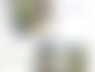 Exposition à Saint-Lupicin