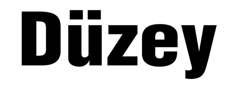 Düzey