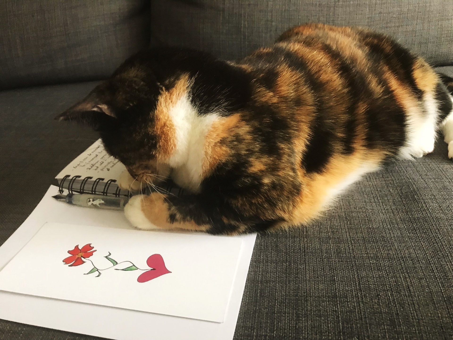 Chloe writing her affirmations