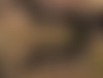 The Middle Place Inside a Relationship