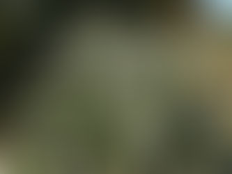 The Space Between Feeling and Action