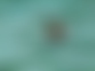 Ego Is Not the Enemy