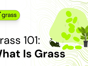 Altcoin Review: Grass - The Depin and AI Altcoin Gem on Solana