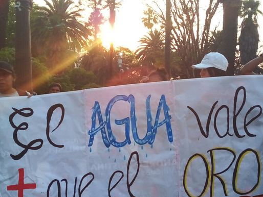 Ecocidio y extractivismo en la agenda ambiental salteña