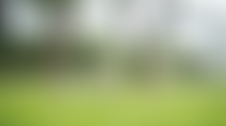 Family with two children and a dog joyfully running in a green park. All wearing casual outfits. Trees and a fence in the background.