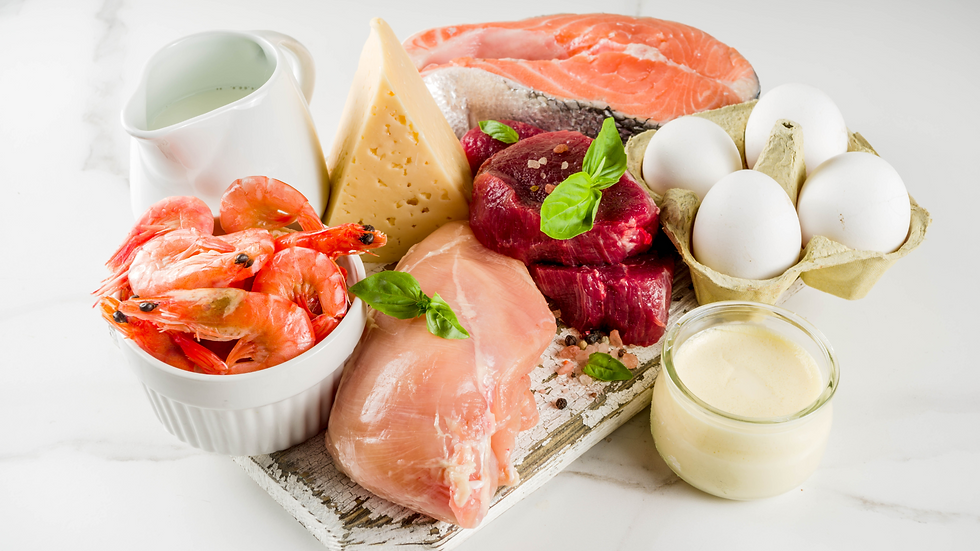 Food rich in protein.