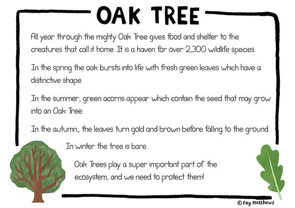 Oak Tree Info Sheet.jpg
