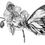 Thumbnail: butterfly on orchid 10x8