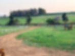Gravel farm track beside green fields, fencing and a wooden play structure.