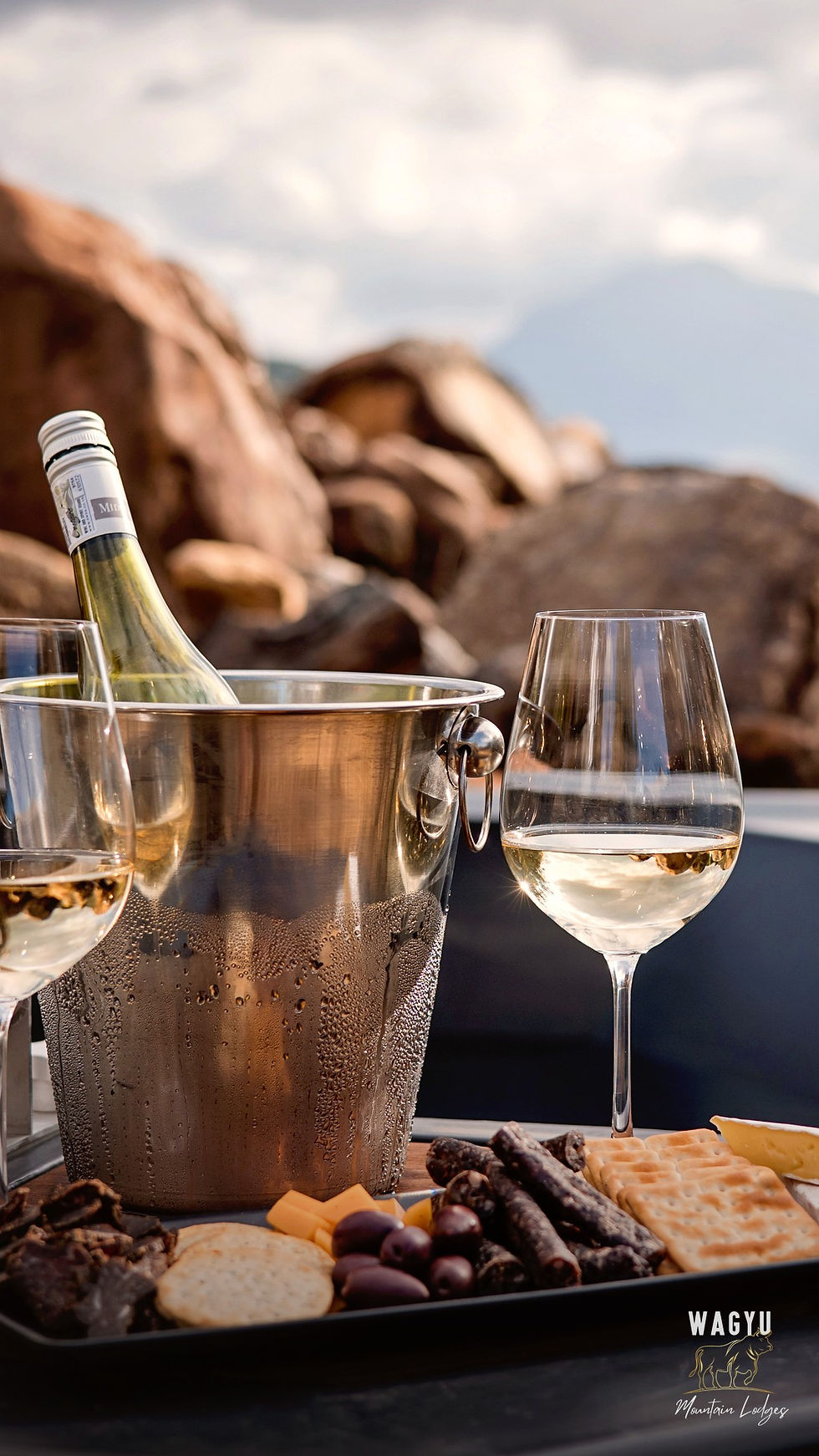 wagyu-hero-mobile-04-wagyu-and-wine.jpg