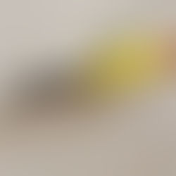 Jak vybrat správnou barvu proti vlhkosti do vašeho domova