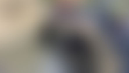 Preserving our heritage: repairs to Swan Bridge in Oxford