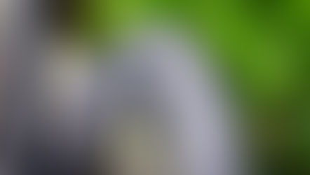 Road + Gravel Blog: Beratung Reifen