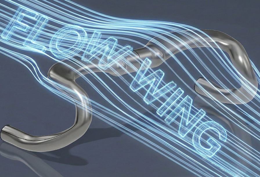 Flow Wing AI Image (1).jpg